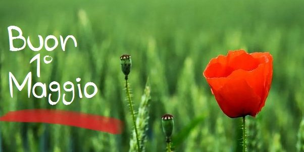 1-maggio-festa-del-lavoro6