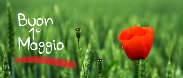 1-maggio-festa-del-lavoro6