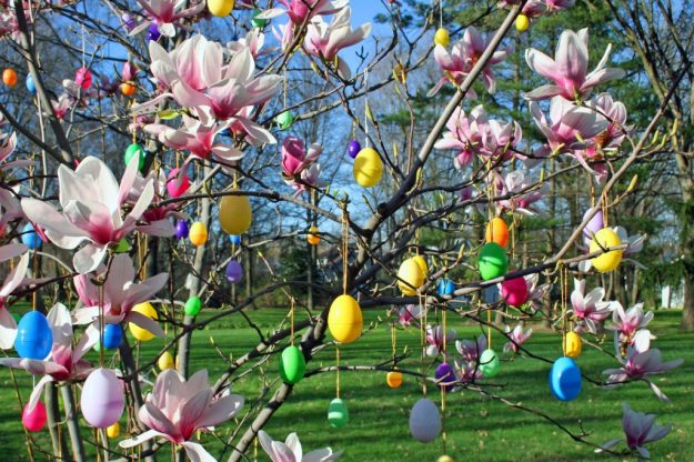 Easter-egg-tree_iStock_ftwitty_www.istockphoto-1024×682